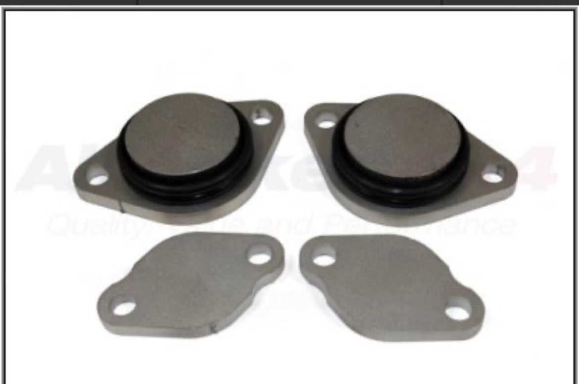 Plaque suppression EGR TDV8 range Rover